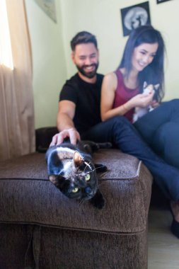 Muhteşem güzel genç çift holding kediler elinde