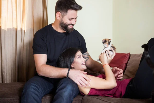 Schönes junges Paar hält Katzen in den Händen — Stockfoto