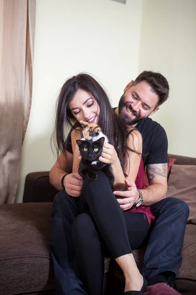 Gorgeous beautiful young couple holding cats in hands — Stock Photo, Image