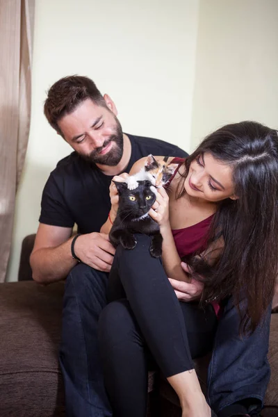 Gorgeous beautiful young couple holding cats in hands — Stock Photo, Image