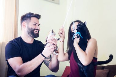 Muhteşem güzel genç çift holding kediler elinde