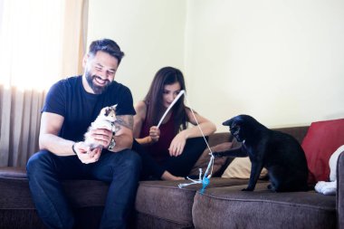 Muhteşem güzel genç çift holding kediler elinde