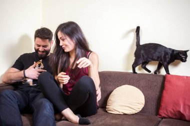 Muhteşem güzel genç çift holding kediler elinde