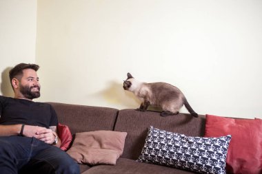 Sakallı adam kanepede ve kedi onunla oynuyor