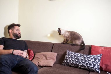 Sakallı adam kanepede ve kedi onunla oynuyor