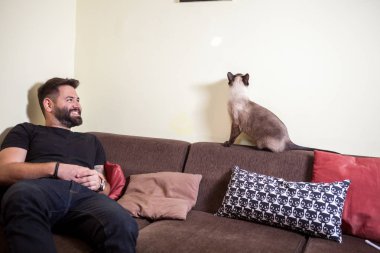 Sakallı adam kanepede ve kedi onunla oynuyor