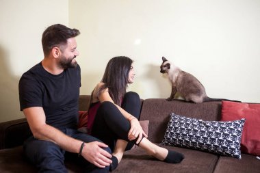 Muhteşem güzel genç çift holding kediler elinde