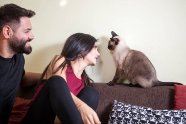 Muhteşem güzel genç çift holding kediler elinde