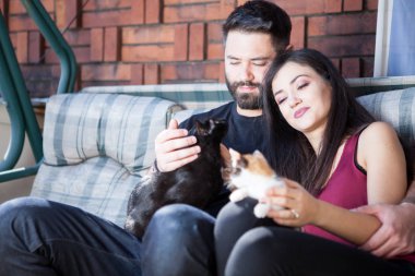 Muhteşem güzel genç çift holding kediler elinde