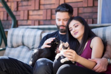 Muhteşem güzel genç çift holding kediler elinde