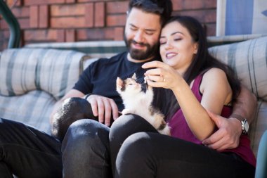 Muhteşem güzel genç çift holding kediler elinde