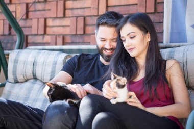 Muhteşem güzel genç çift holding kediler elinde