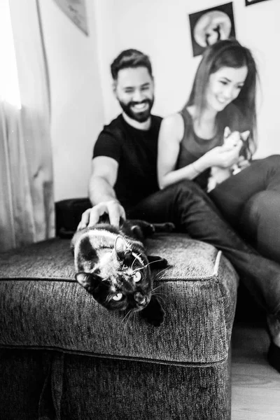 Splendida coppia con il loro gatto in casa — Foto Stock