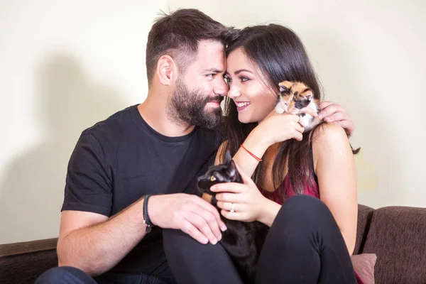 Schönes junges Paar hält Katzen in den Händen — Stockfoto