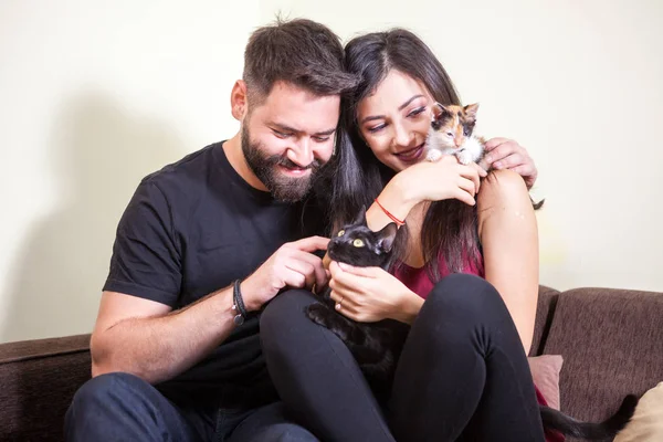 Splendida bella giovane coppia che tiene i gatti in mano — Foto Stock