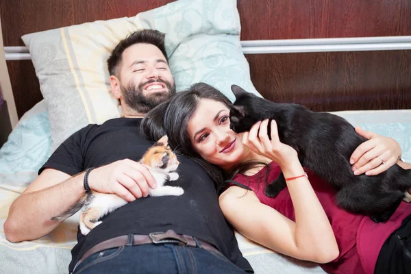 Jovem casal apaixonado na cama com seus gatos — Fotografia de Stock