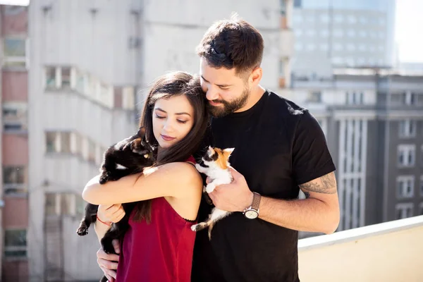 Genç çift holding kediler terasta elinde — Stok fotoğraf
