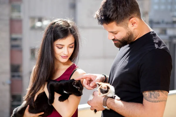 Young couple holding cats in hands on the terrace — Stock Photo, Image