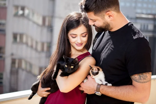 Giovane coppia che tiene i gatti in mano sulla terrazza — Foto Stock