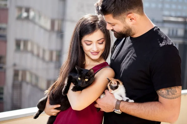 Young couple holding cats in hands on the terrace — Stock Photo, Image