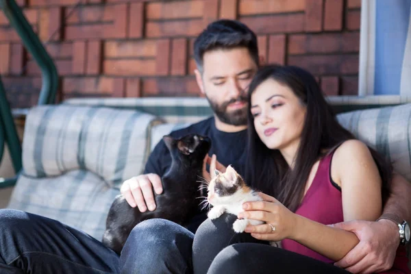 Muhteşem güzel genç çift holding kediler elinde