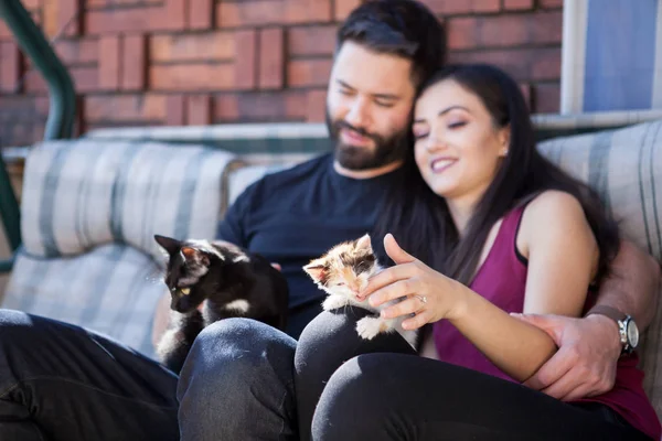 Muhteşem güzel genç çift holding kediler elinde