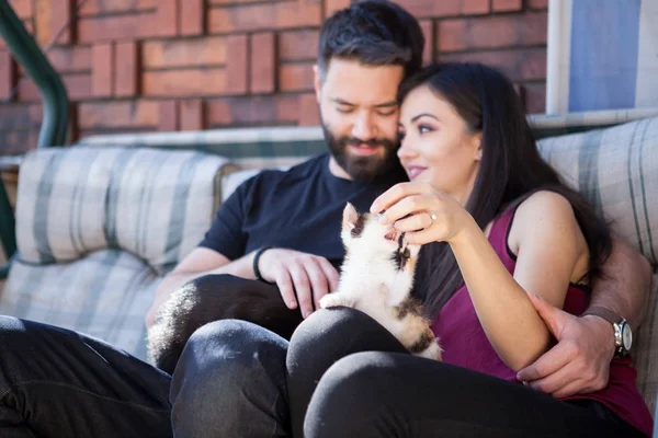 Gorgeous beautiful young couple holding cats in hands — Stock Photo, Image