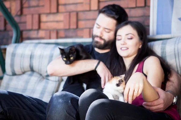 Muhteşem güzel genç çift holding kediler elinde — Stok fotoğraf
