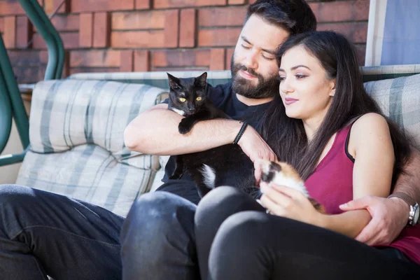 Muhteşem güzel genç çift holding kediler elinde