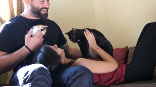 Πίσω από τη σκηνή του lifestyle φωτογραφία συνόδου με ένα χαριτωμένο ζευγάρι και γάτες — Αρχείο Βίντεο
