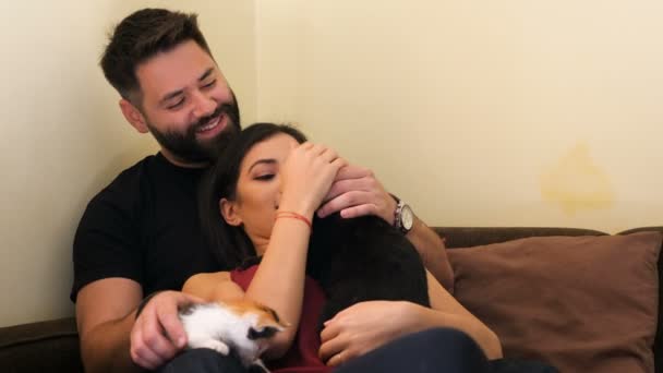 Close-up na bela jovem casal na sala de estar relaxante e brincando com seus gatos — Vídeo de Stock