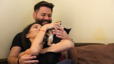 Rahatlatıcı ve onların cats ile oynarken oturma odasında bir çift. Bir kedi siyah ve diğer kırmızı