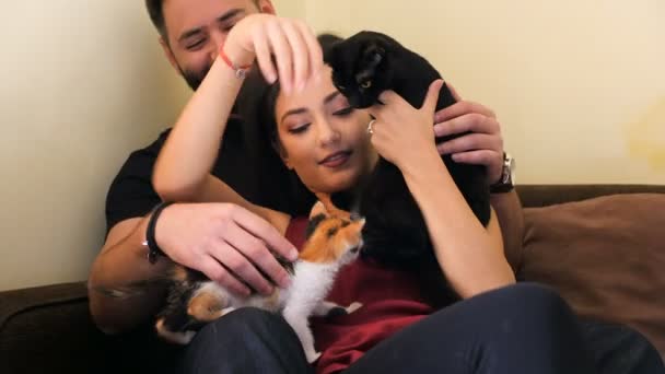 Jovem casal na sala de estar relaxante e brincando com seus gatos adoráveis — Vídeo de Stock