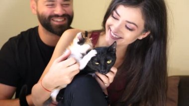 Kadar yakın biri kırmızı ve siyah ve bir kara kedi sahibi kucaklarında üzerinde oynarken