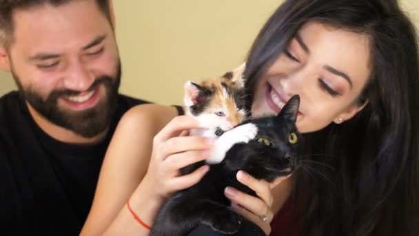 Un pequeño rojo con negro gatito es burlas otro negro gato — Vídeos de Stock