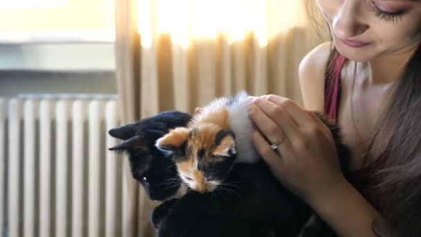 Adorável jovem casal na sala de estar relaxante e brincando com seus gatos — Vídeo de Stock