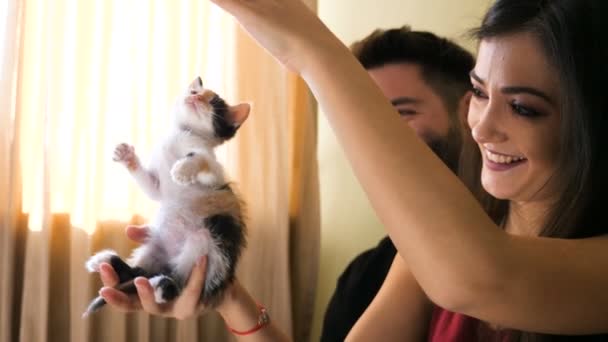 Adorable gatito en rojo y negro jugando en las manos de su dueño — Vídeo de stock