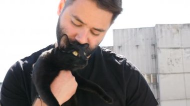 Büyük bir güzel siyah kedi terasta eller hipster adam sakallı