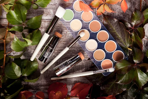 Profesjonalne kosmetyki makijaż prducts w jesień koncepcja na ciemnym tle drewnianych — Zdjęcie stockowe
