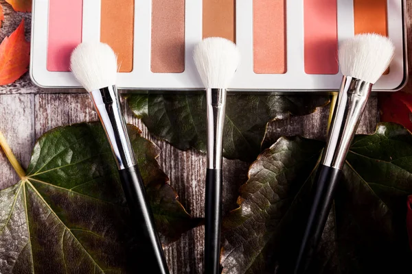 Profesjonalne kosmetyki makijaż prducts w jesień koncepcja na ciemnym tle drewnianych — Zdjęcie stockowe