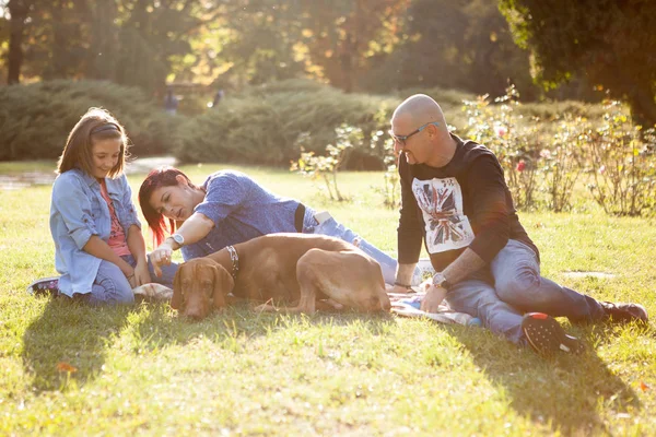 Família feliz de três brincando no parque com seu cão — Fotografia de Stock