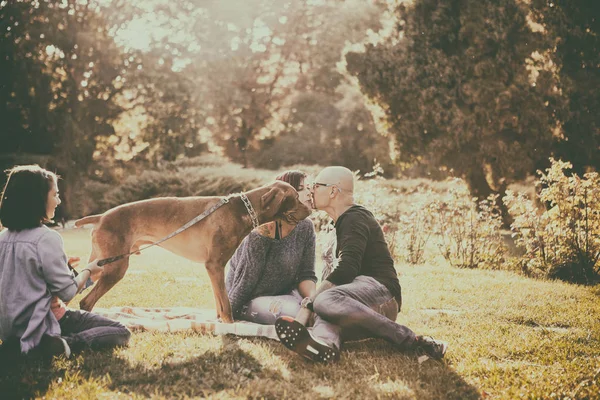 Belle famille magnifique de trois personnes jouant dans le parc avec thei — Photo