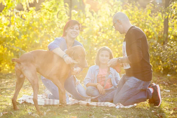 Beautiful gorgeous family of three playing in the park with thei