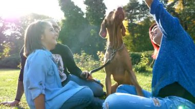 Mutlu aile ile onların köpek parkta oynarken