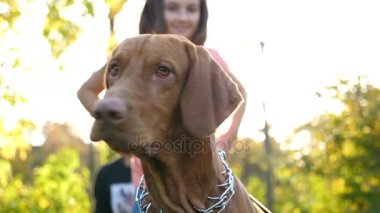 Ağır çekim bir parkta oynarken komik köpek