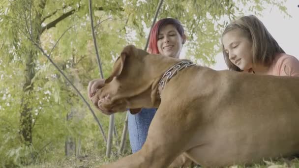 Familia de tres en el parque jugando con su perro — Vídeo de stock