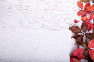 Sonbahar arka plan kopya alanı ile