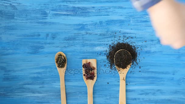 Person hand pouring tea leaves on wooden spoons — Stock Video