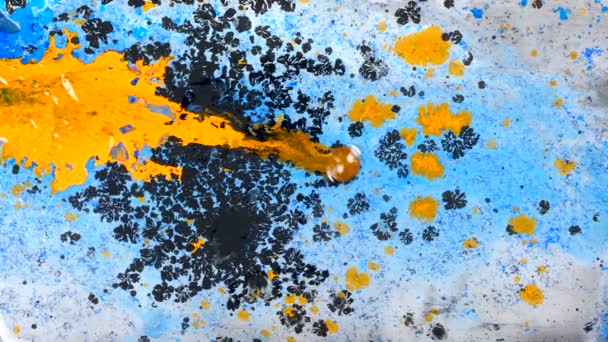 Gouttes d'encre colorée sur l'encre noire et bleue — Video