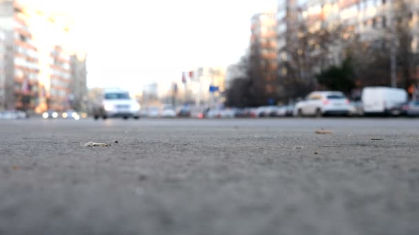 Voitures bleues conduisant dans les rues — Video